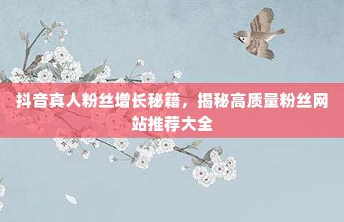 抖音真人粉丝增长秘籍,揭秘高质量粉丝网站推荐大全