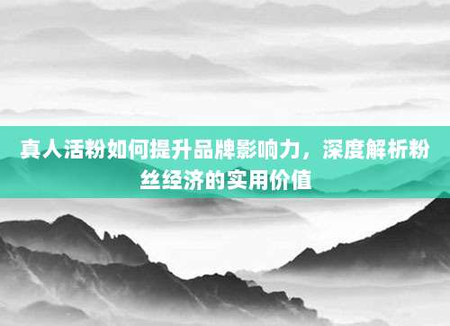 真人活粉如何提升品牌影响力,深度解析粉丝经济的实用价值