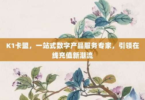 K1卡盟,一站式数字产品服务专家,引领在线充值新潮流