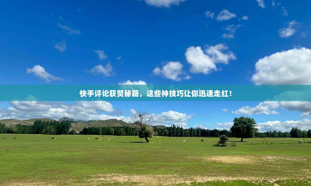 快手评论获赞秘籍,这些神技巧让你迅速走红!