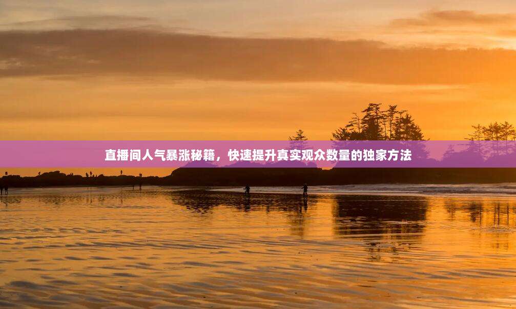 直播间人气暴涨秘籍,快速提升真实观众数量的独家方法
