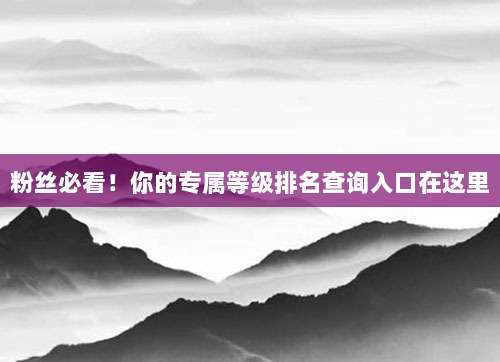 粉丝必看!你的专属等级排名查询入口在这里
