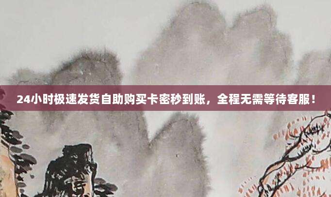 24小时极速发货自助购买卡密秒到账,全程无需等待客服!