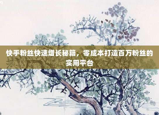 快手粉丝快速增长秘籍,零成本打造百万粉丝的实用平台