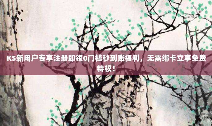 KS新用户专享注册即领0门槛秒到账福利,无需绑卡立享免费特权!