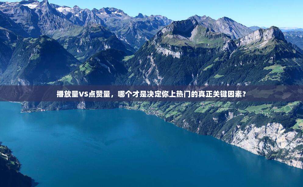 播放量VS点赞量,哪个才是决定你上热门的真正关键因素?