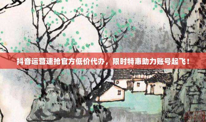 抖音运营速抢官方低价代办,限时特惠助力账号起飞!