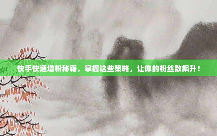 快手快速增粉秘籍,掌握这些策略,让你的粉丝数飙升!