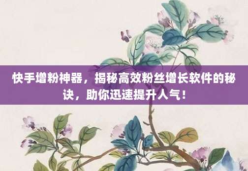 快手增粉神器,揭秘高效粉丝增长软件的秘诀,助你迅速提升人气!