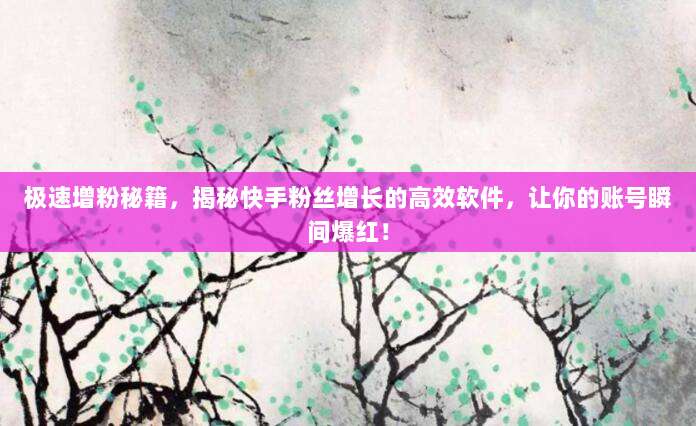 极速增粉秘籍,揭秘快手粉丝增长的高效软件,让你的账号瞬间爆红!