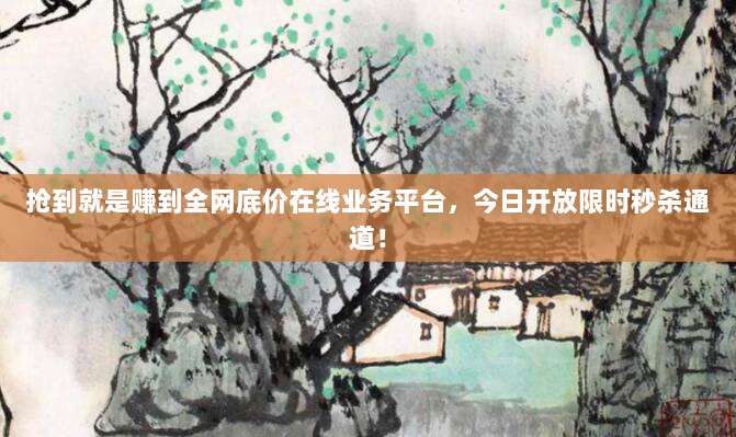 抢到就是赚到全网底价在线业务平台,今日开放限时秒杀通道!