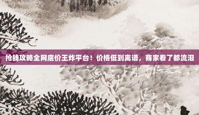 抢钱攻略全网底价王炸平台!价格低到离谱,商家看了都流泪