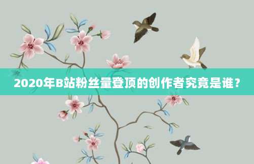 2020年B站粉丝量登顶的创作者究竟是谁?