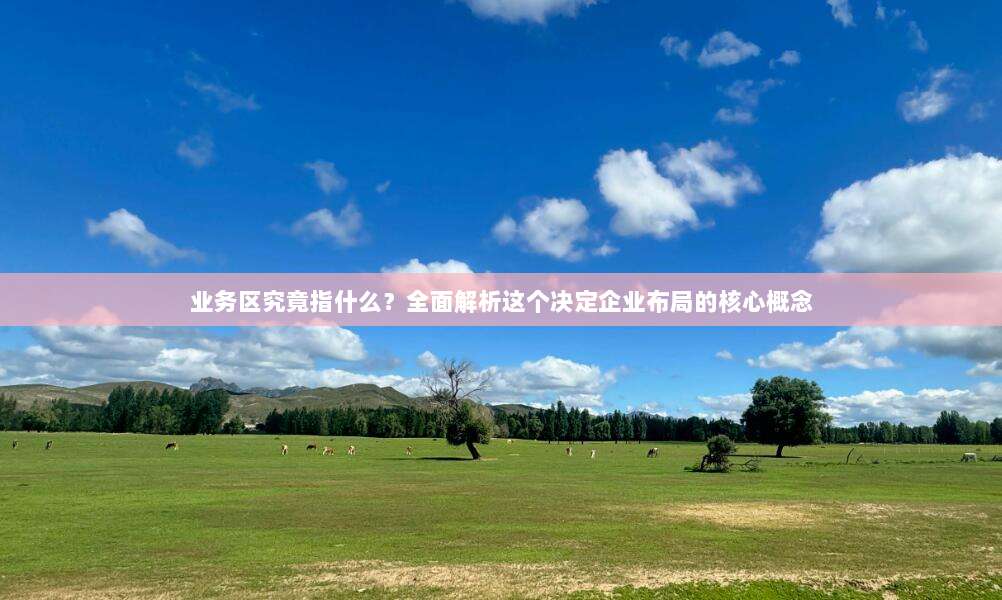 业务区究竟指什么?全面解析这个决定企业布局的核心概念