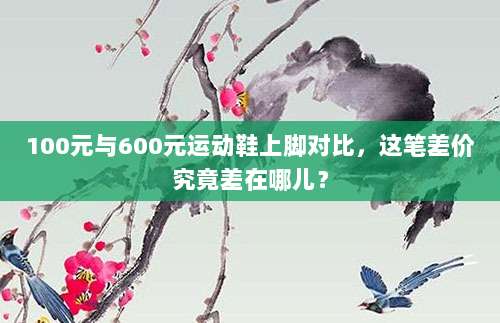 100元与600元运动鞋上脚对比,这笔差价究竟差在哪儿?