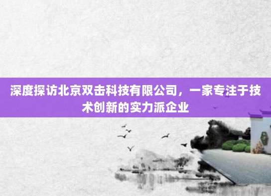 深度探访北京双击科技有限公司,一家专注于技术创新的实力派企业