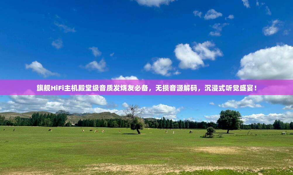 旗舰HiFi主机殿堂级音质发烧友必备,无损音源解码,沉浸式听觉盛宴!