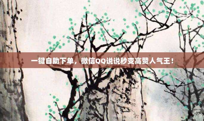 一键自助下单,微信QQ说说秒变高赞人气王!